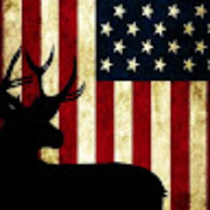 Meet your Posher, Lizza